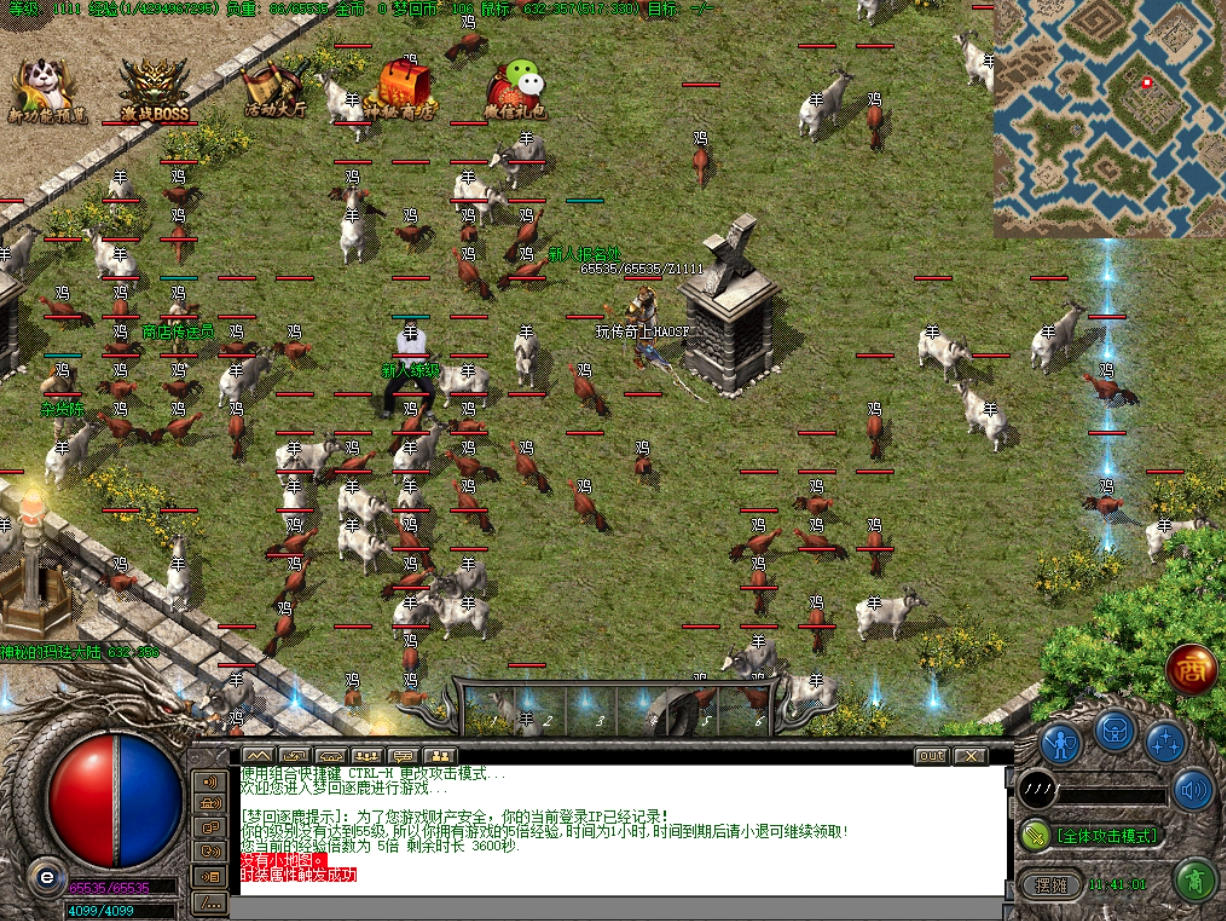 4.jpg